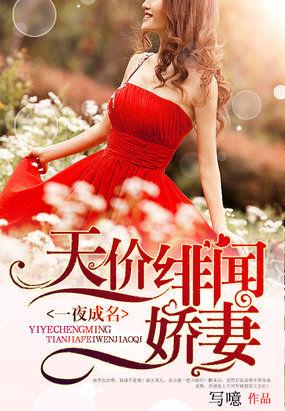 星光璀璨:天价绯闻妻