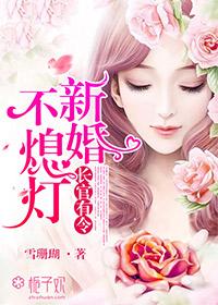 长官有令,新婚不熄灯