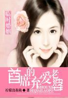 临时婚姻:首席的弃爱老婆