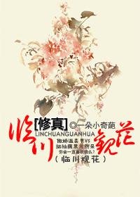 (修真)临川观花