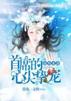 强势来袭:首席的心尖挚宠