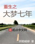 重生之大梦七年顶点