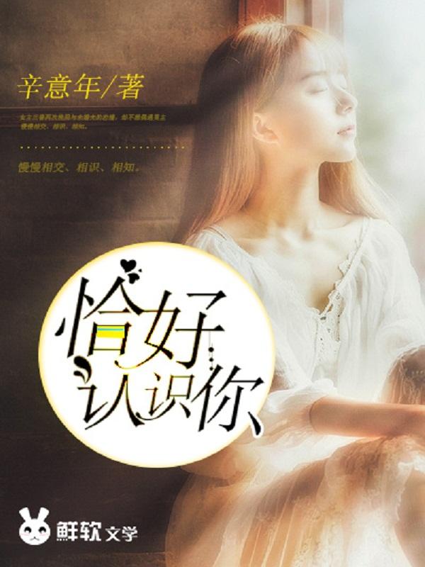 歌词恰好遇见你
