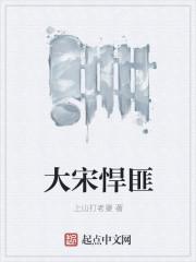 大宋悍匪2