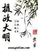 摄政大明精校版TXT奇书