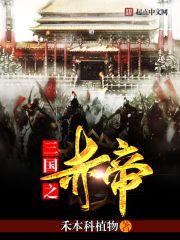 三国之赤帝TXT百度