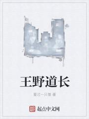 王也道长是什么漫画的