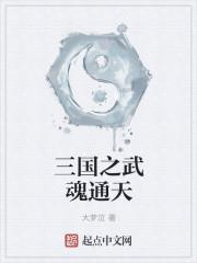 三国之武魂通天 大梦泣 著