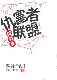 综英美复仇者