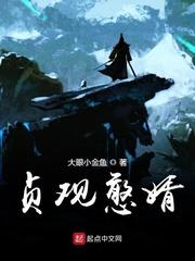 贞观憨婿 4