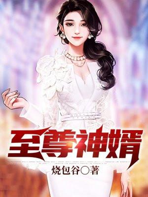 至尊神婿叶昊免费阅读完整版