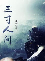 三寸人间离线