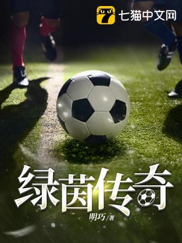 绿茵传奇之神级中场打法特点