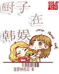 饭圈厨子什么意思