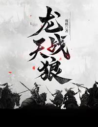 龙战天书在线观看