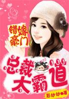 霸道总裁赖上特工妻