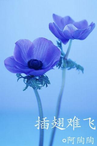 他追