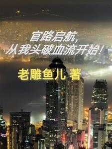 在线阅读官路