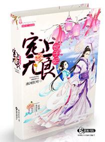 宠妃无度世子要入赘