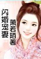 闪婚宠妻蜜短剧免费观看