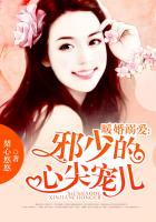 暖婚溺爱慕少