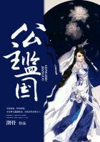 公主能看到弹幕