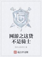 网游之这货不是骑士